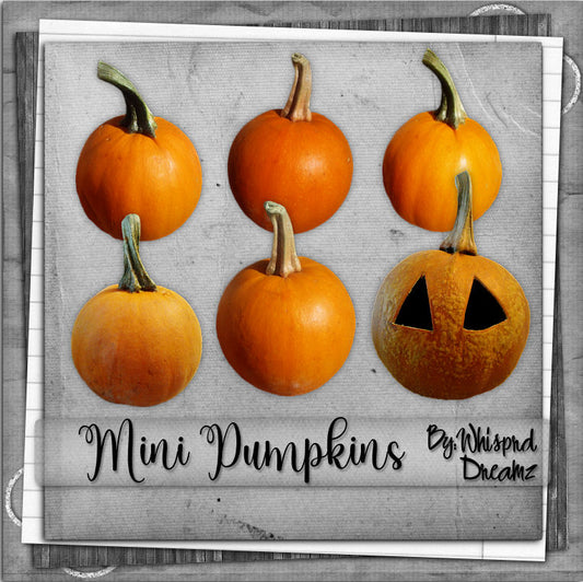 Mini Pumpkins (tagger)