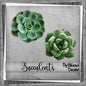 Succulents (tagger)